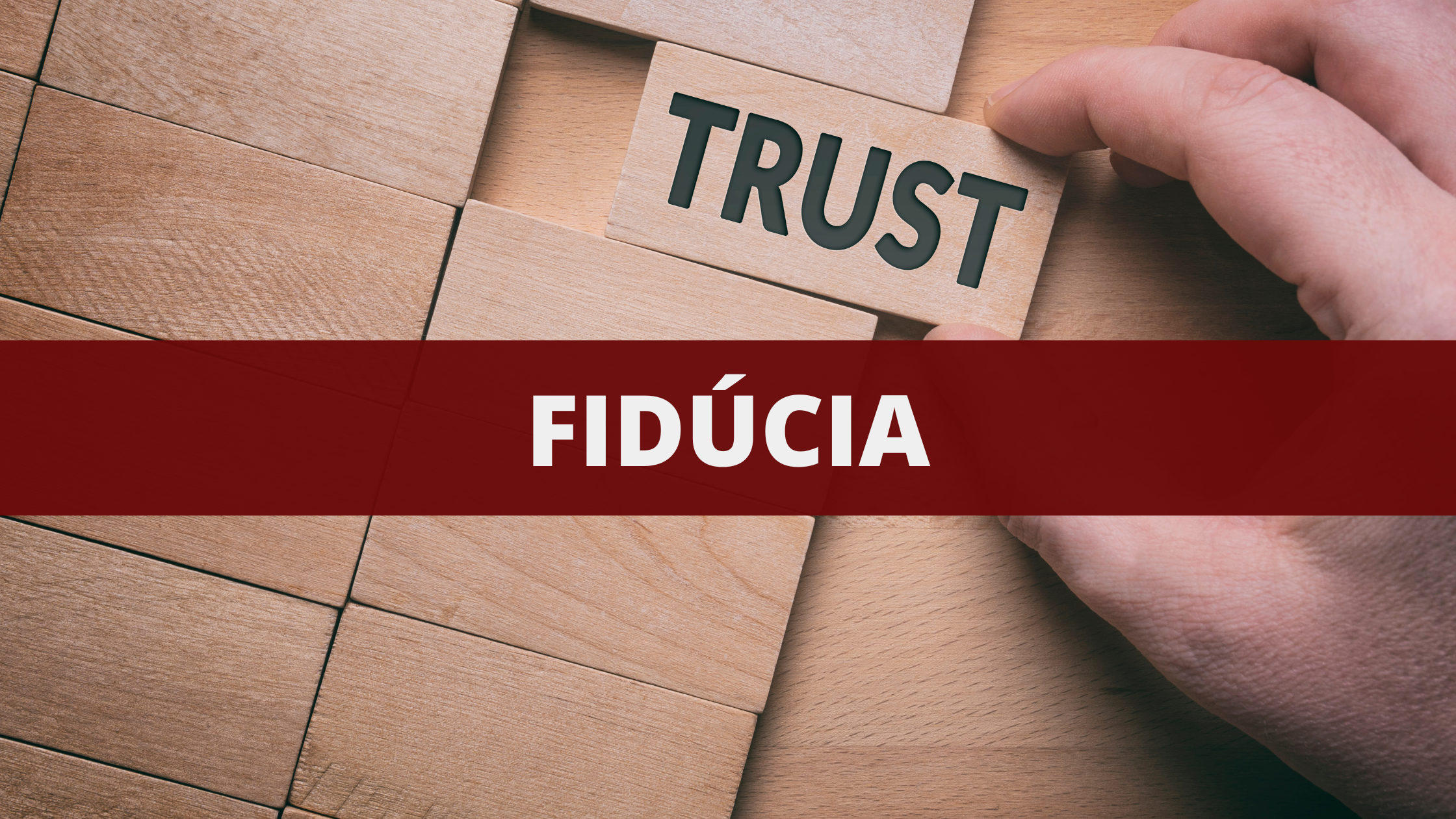 Análise do projeto de lei que cria o Trust no Direito Brasileiro